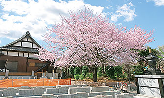 染谷の里　四季彩霊苑